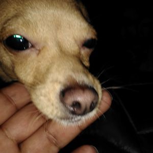 Meet your Posher, Juan